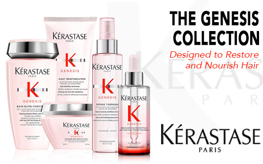 THE GENESIS COLLECTION